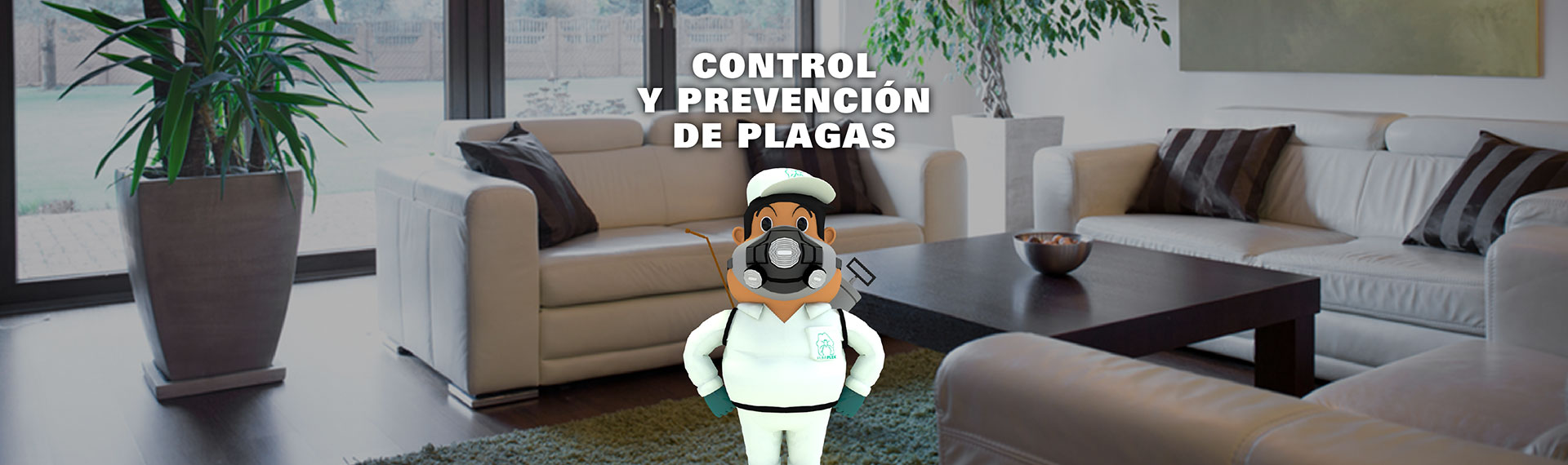 Salas